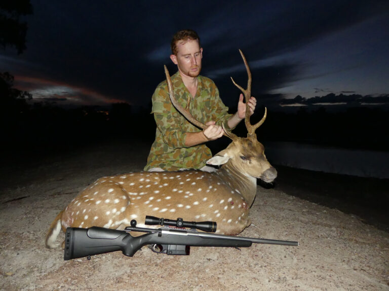 Chasing chital 