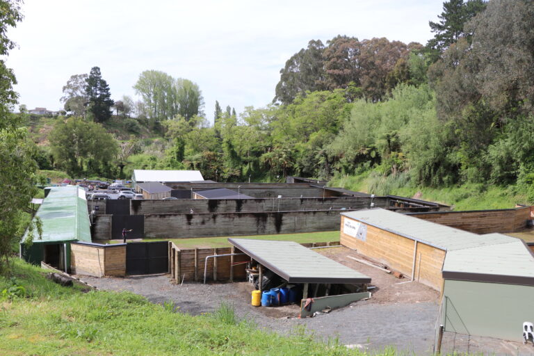 World Action Pistol Championships – Day 4